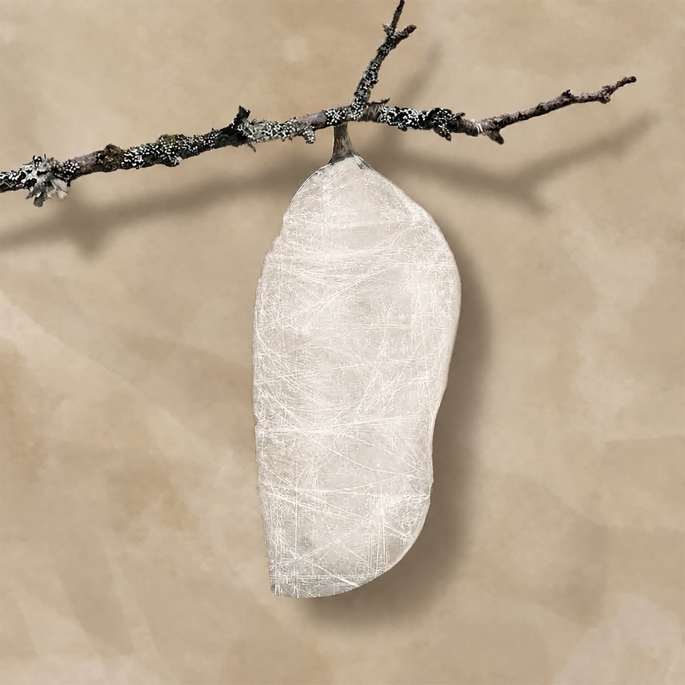 Metamorphosis cover art